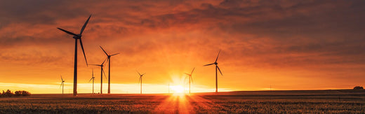 renewable energy TENA